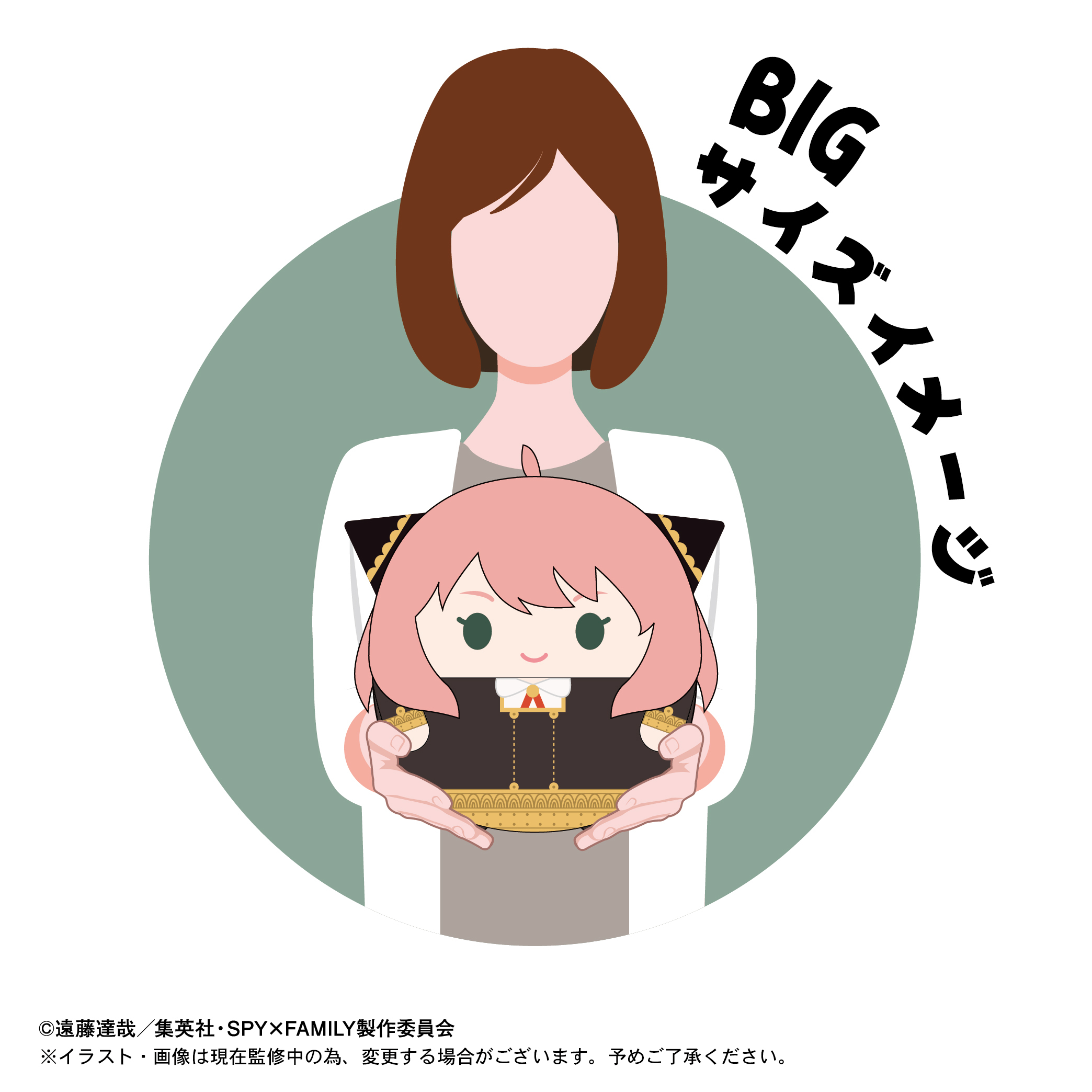 「ACG.GO」「預購」SPY×FAMILY  圓碌碌公仔 Big 間諜家家酒