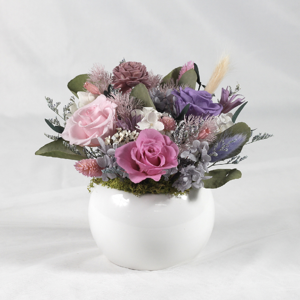有點紫-永生花盆栽-開幕祝賀-喬遷祝賀-中型