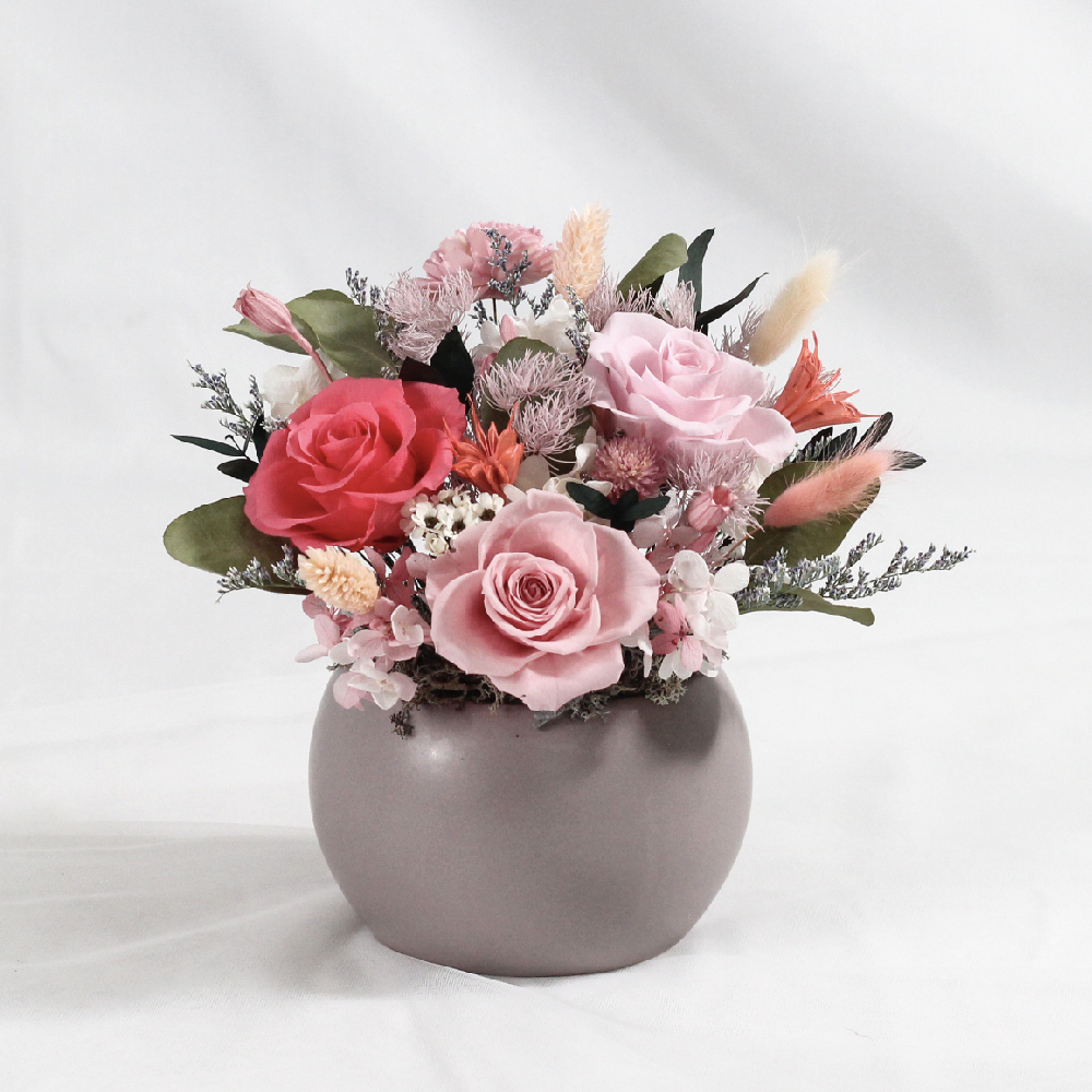 有點粉-永生花盆栽-開幕祝賀-喬遷祝賀-中型