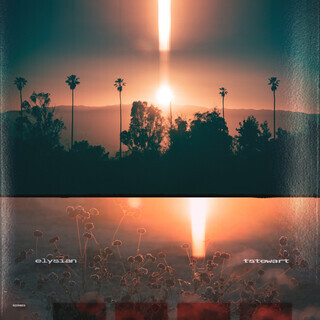 tstewart《elysian》（180g LP）