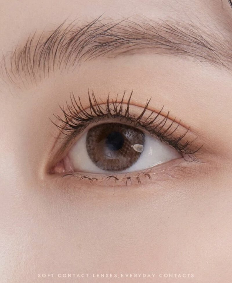 OLENS PURSPUR BROWN 季拋彩妝隱形眼鏡 (Brown/ Choco/ Gray)