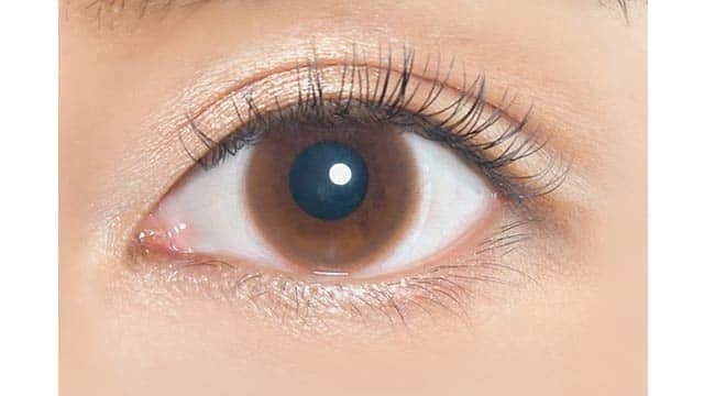 eRouge Sheer Brown 2 Week 兩星期拋棄型有色彩妝隱形眼鏡｜每盒6片