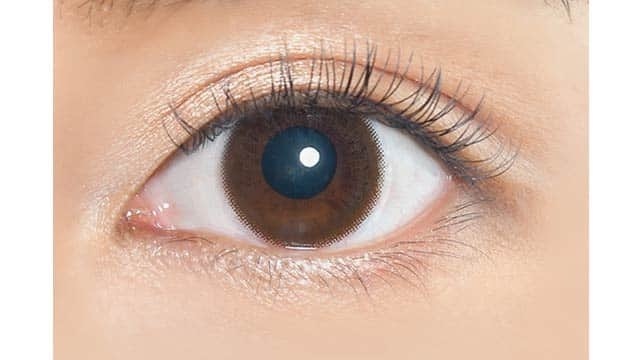 eRouge Chic Brown 2 Week 兩星期拋棄型有色彩妝隱形眼鏡｜每盒6片