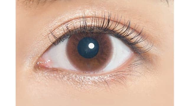 eRouge Clarity Brown 2 Week 兩星期拋棄型有色彩妝隱形眼鏡｜每盒6片