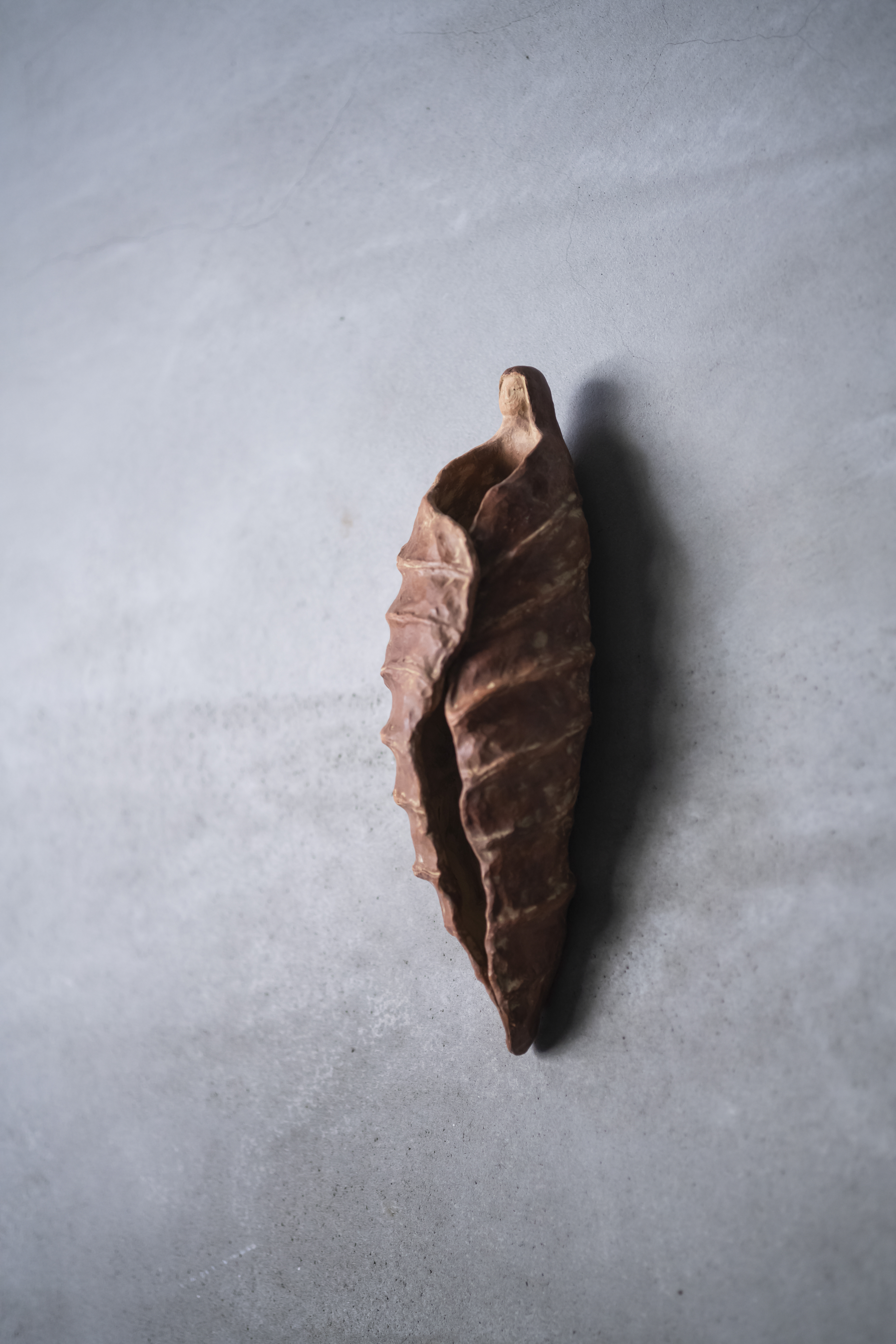 林怡芬 Efen Lin｜秋葉