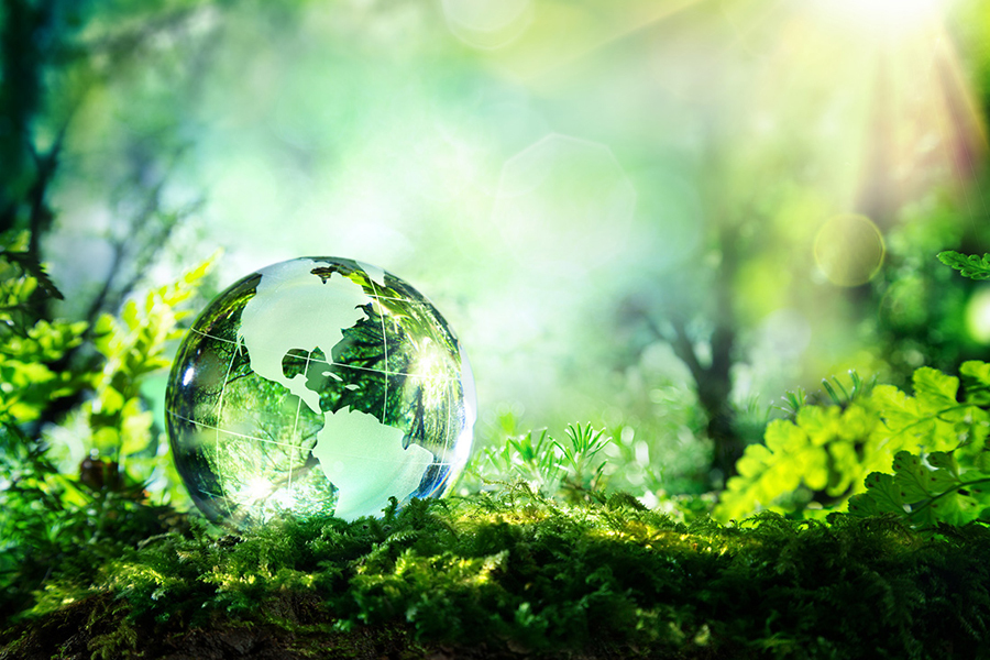 莫代爾的製造過程對環境友善，且可被大自然分解，是一種新的環保材料。