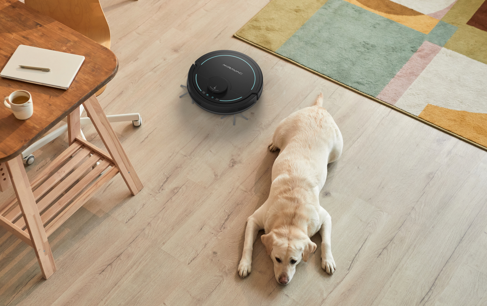 <img src="A-dog-lying-on-the-wood-floor-with-vacuum-robot.jpeg" alt="A-dog-lying-on-the-wood-floor-with-vacuum-robot">