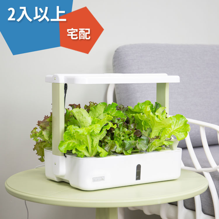 Lalagoon喇喇棍水耕機(2入以上)