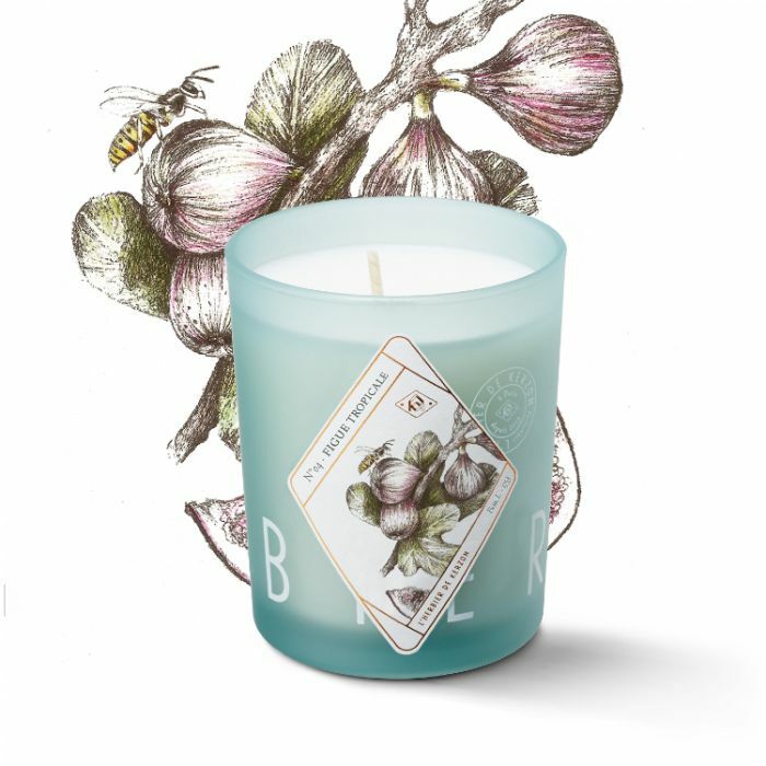 KERZON｜香氛蠟燭 - 熱帶無花果/ 展品現貨（外盒已拆封，蠟身狀況良好）非常推薦自用 🍃