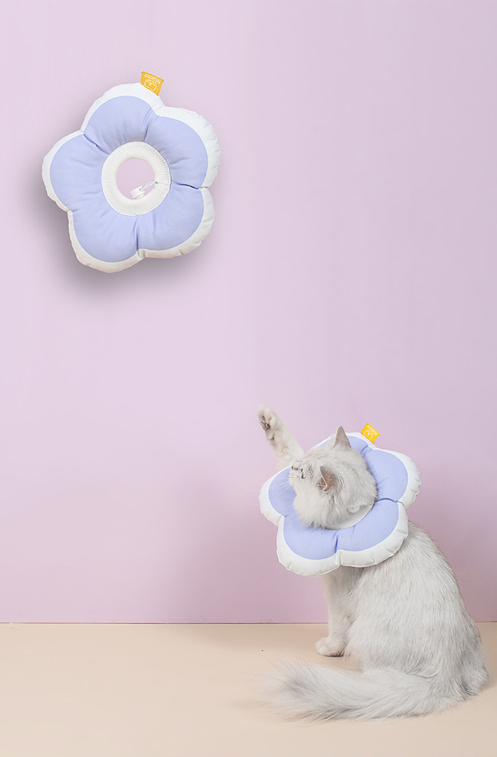 花朵伊麗莎白頸圈｜防咬防舔防抓