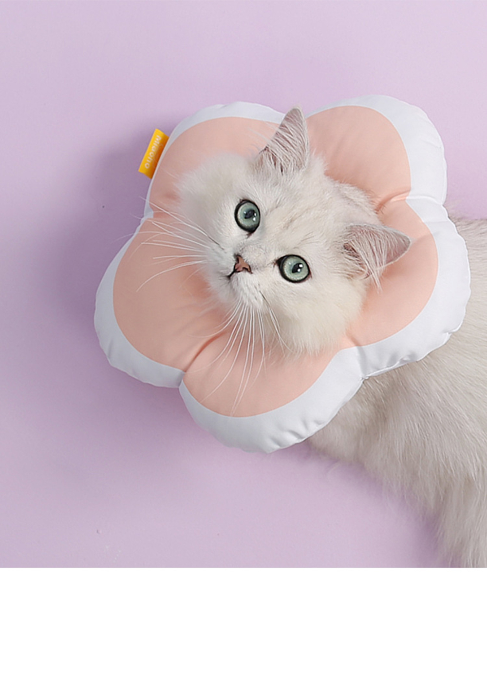 花朵伊麗莎白頸圈｜防咬防舔防抓