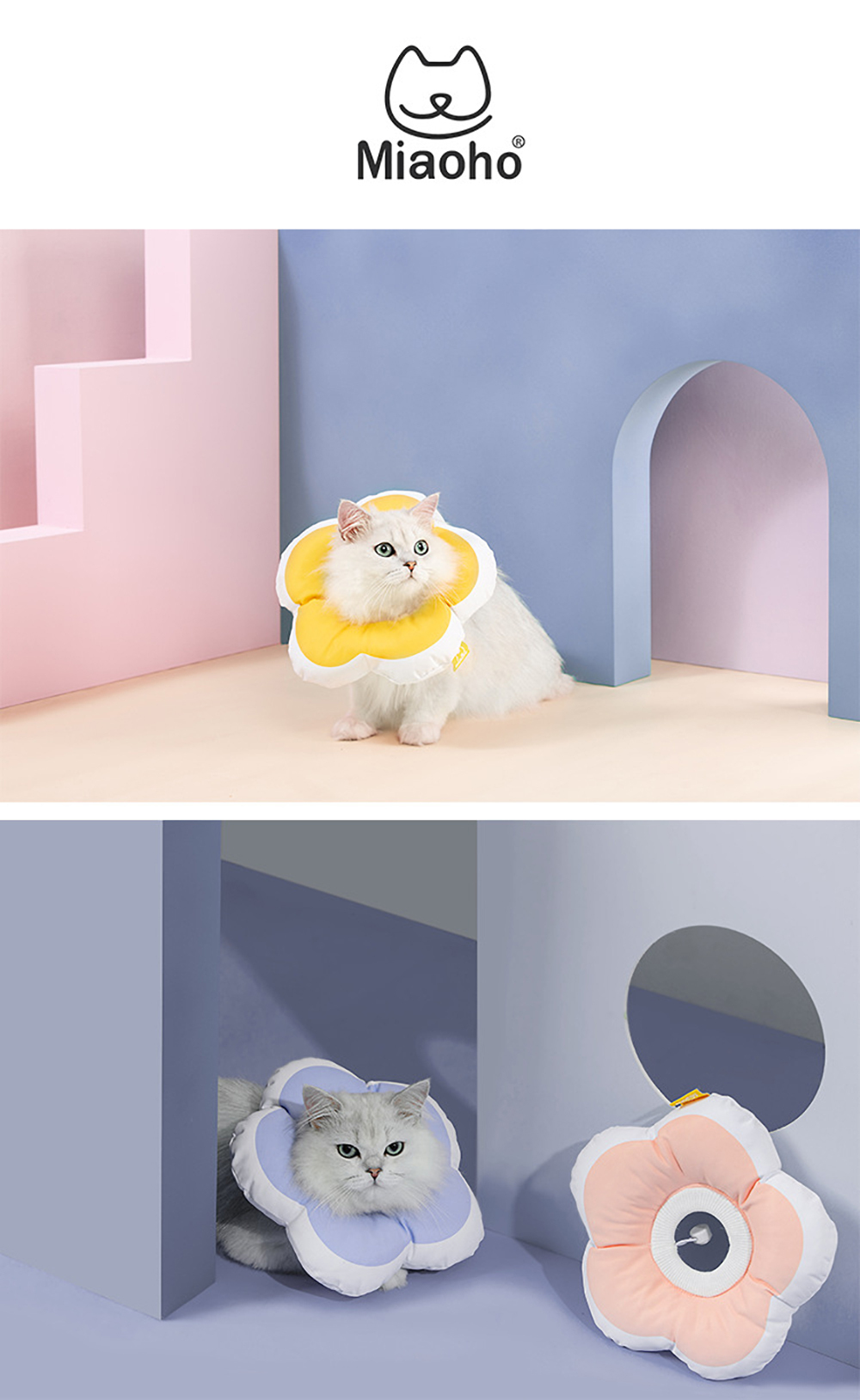 花朵伊麗莎白頸圈｜防咬防舔防抓