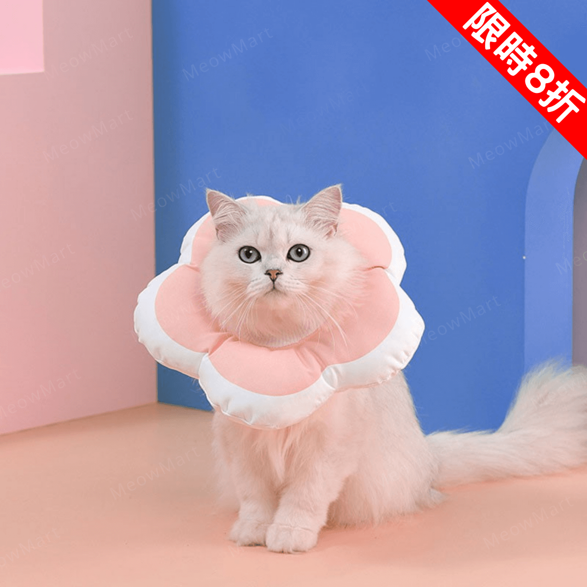 【現貨8折】花朵伊麗莎白頸圈｜防咬防舔防抓 (貓狗適用)