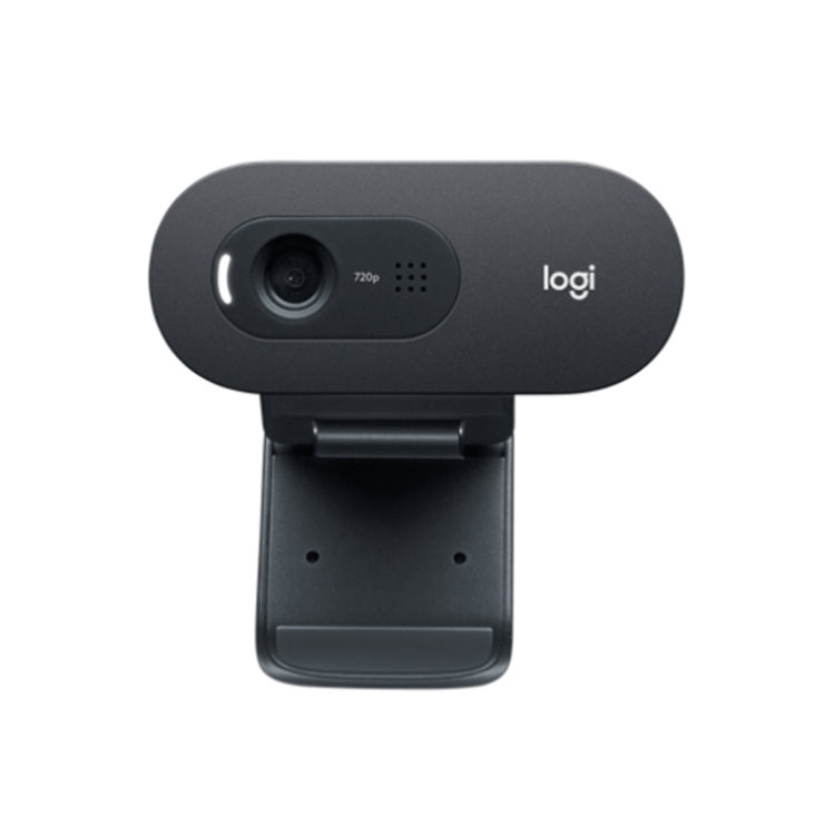 Logitech C505e HD Webcam