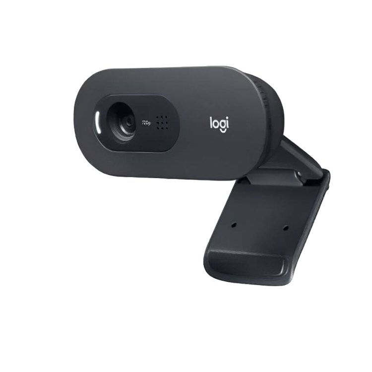 Logitech C505e HD Webcam