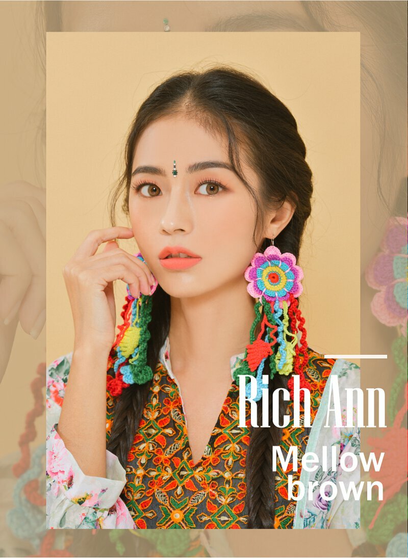 ANN365 1 day Rich Ann Mellow / Rich Ann Latte Brow 日拋隱形眼鏡｜每盒6片