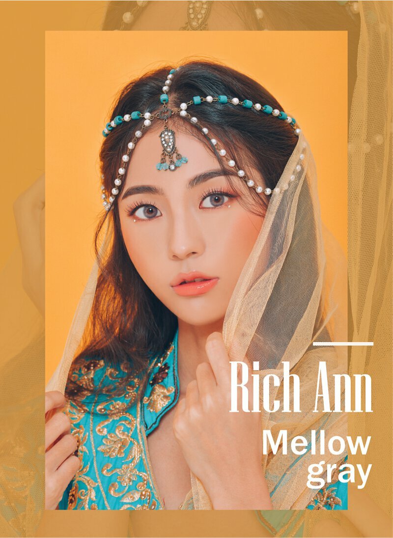 ANN365 1 day Rich Ann Mellow / Rich Ann Latte Brow 日拋隱形眼鏡｜每盒6片