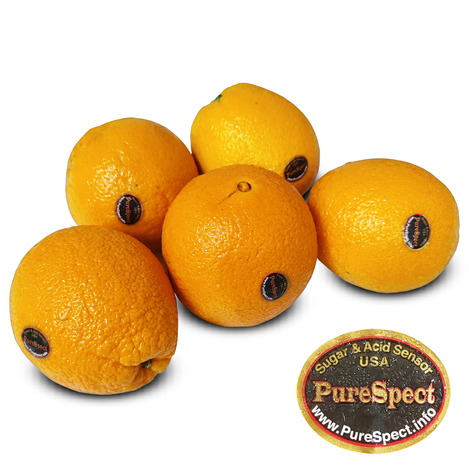 美國 PureSpect 黑牌鮮橙 [5個]