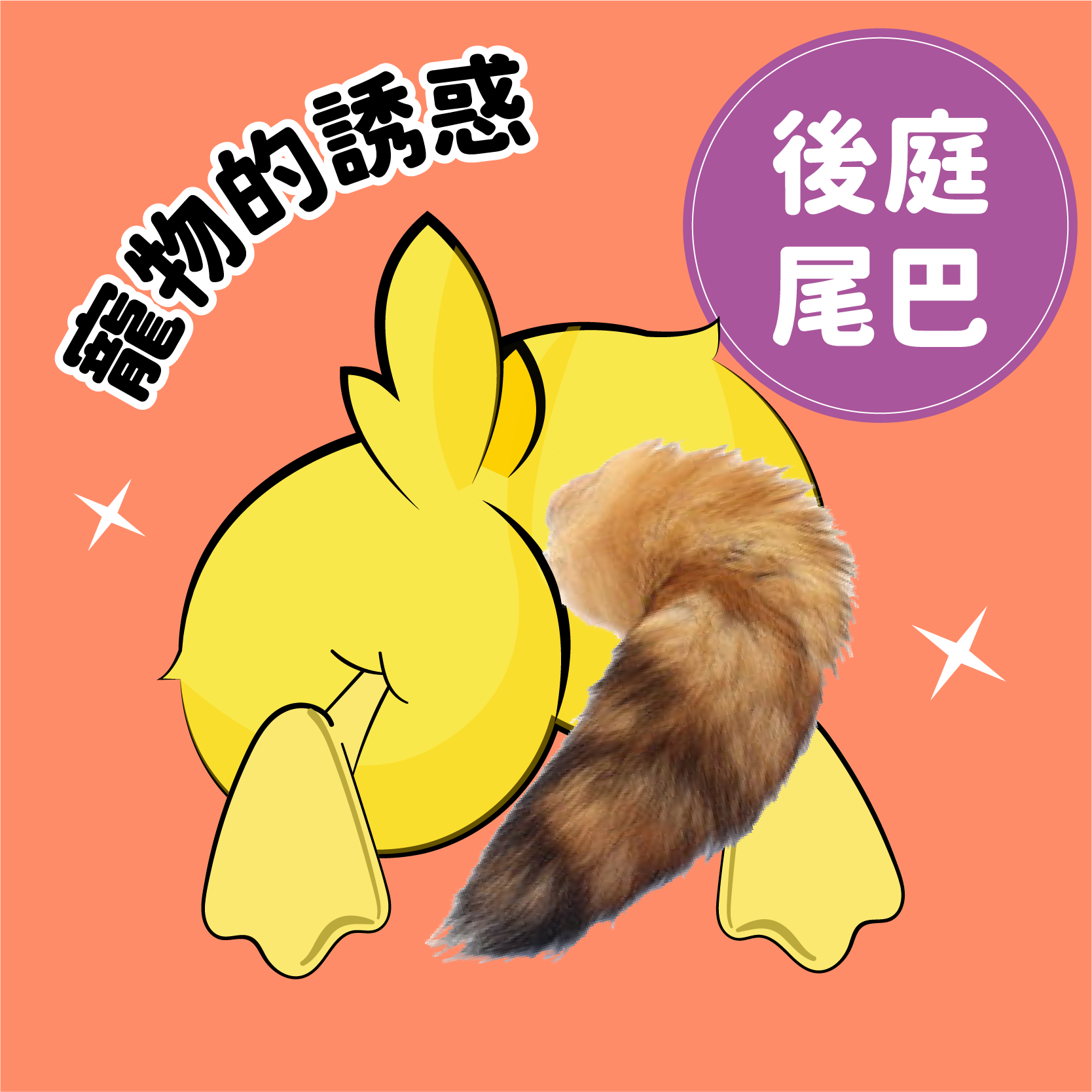 後座尾巴