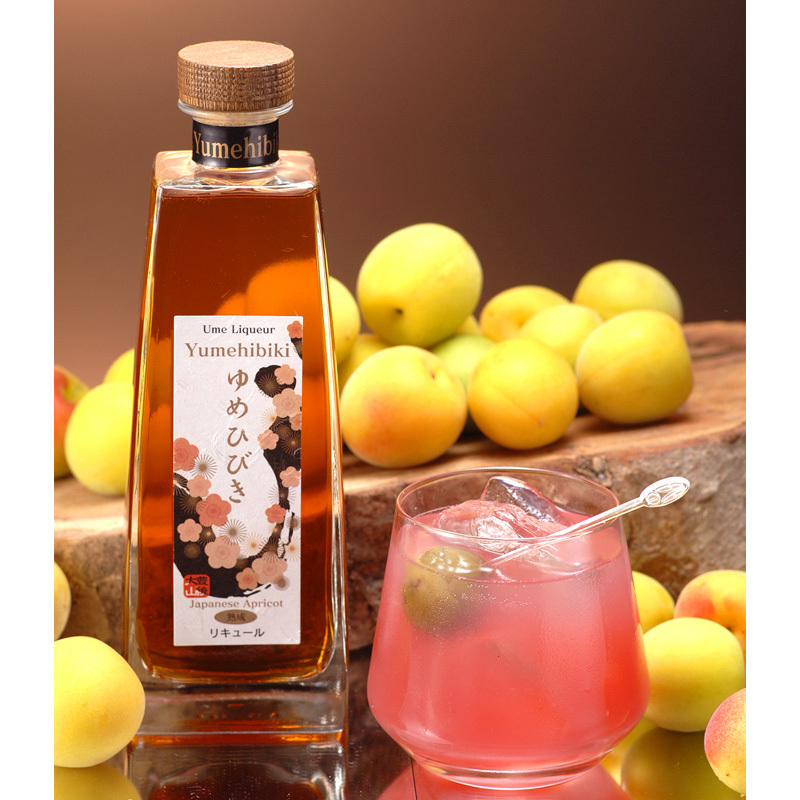 日本高級梅酒 夢響 (風呂包裝)