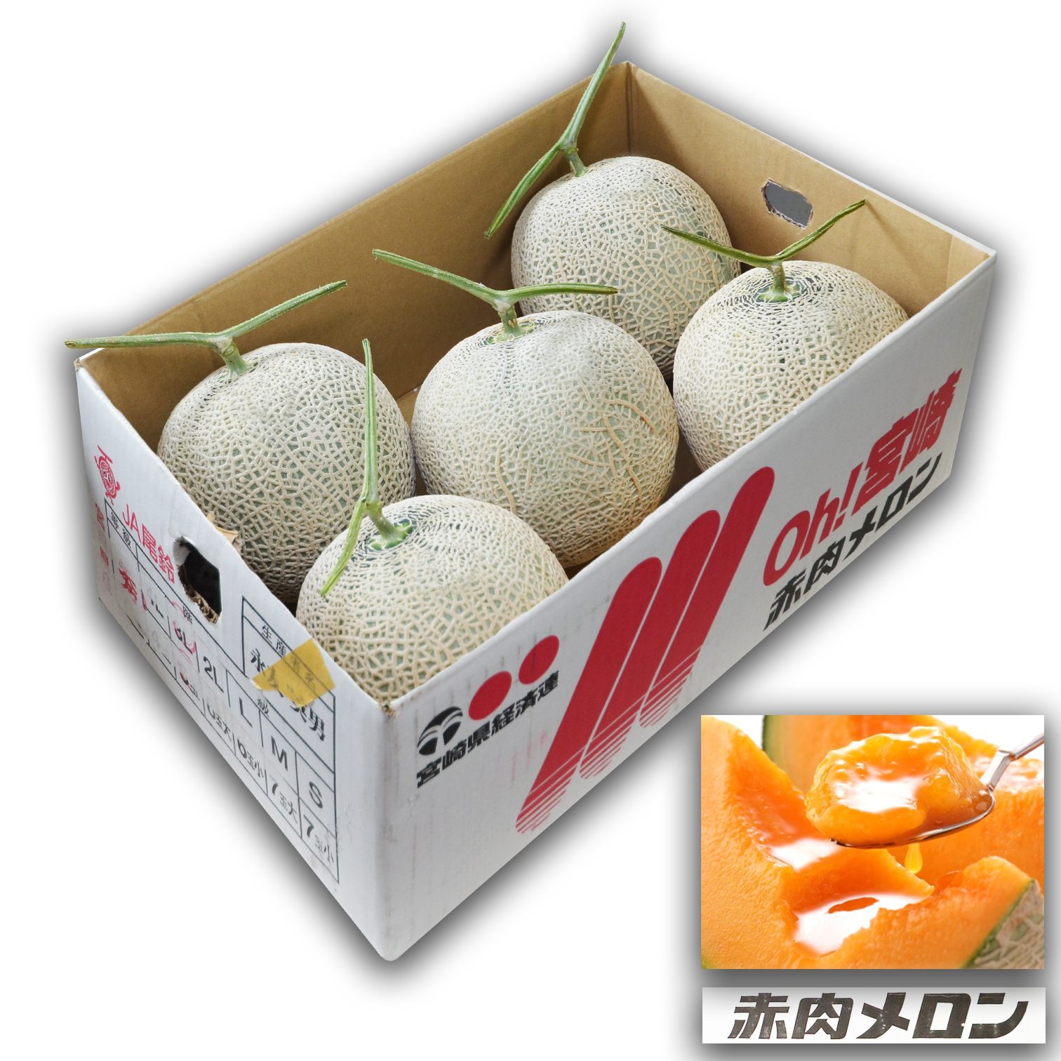 Miyazaki Akaniku Melon [Box|L size]
