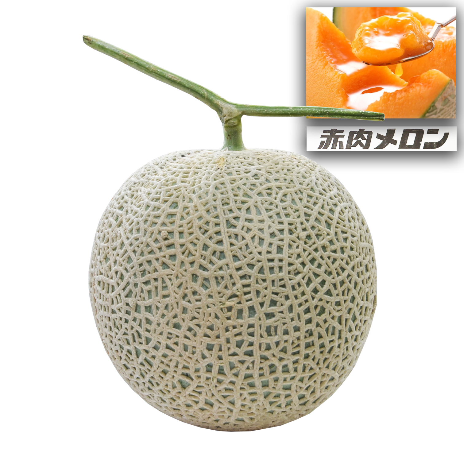 宮崎 赤肉蜜瓜 [1個|大裝]