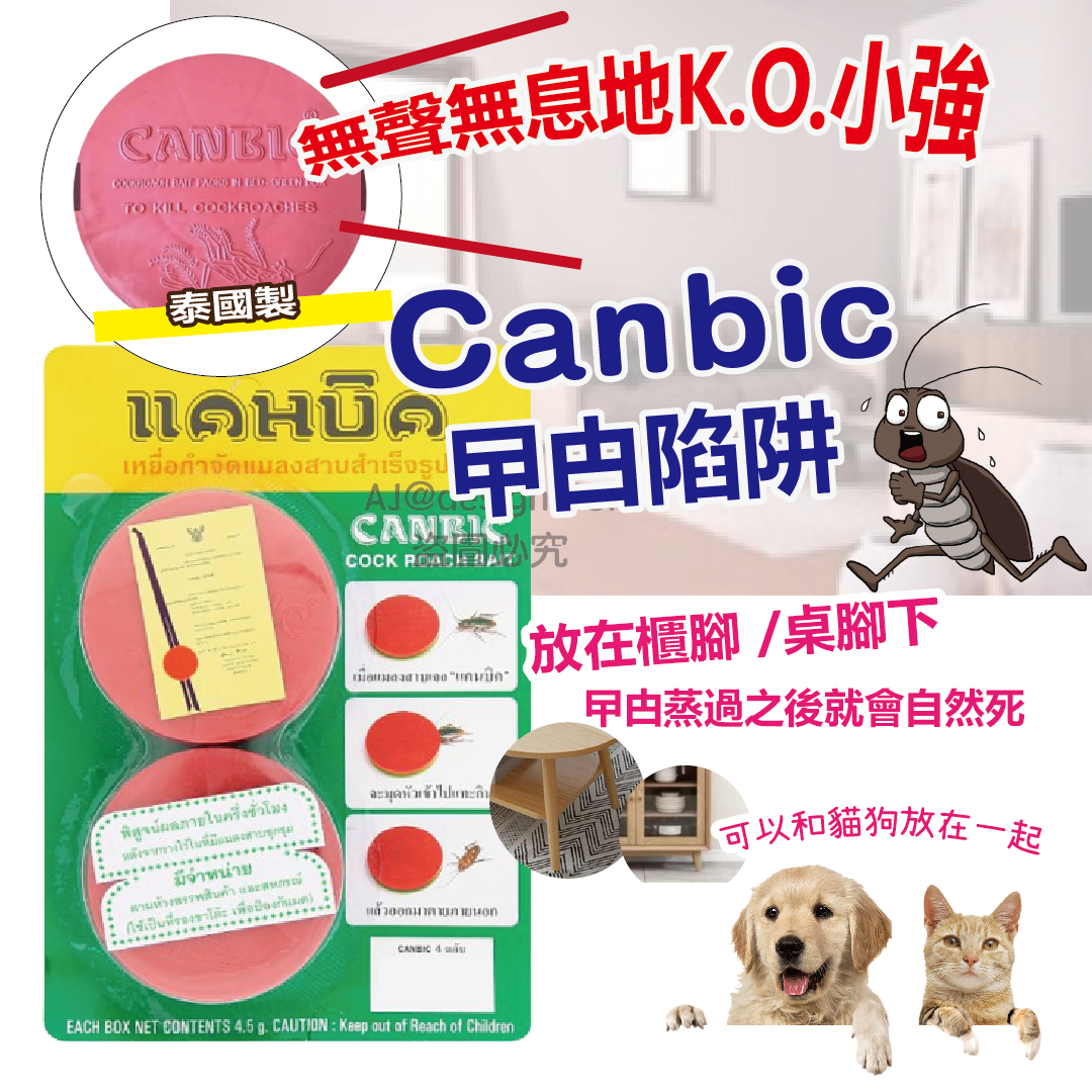 泰國 Canbic 曱甴陷阱 2個裝