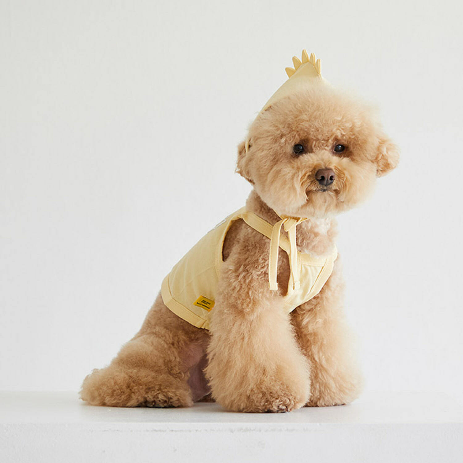 DAN Joguman 恐龍細肩帶＋帽子組合（黃）