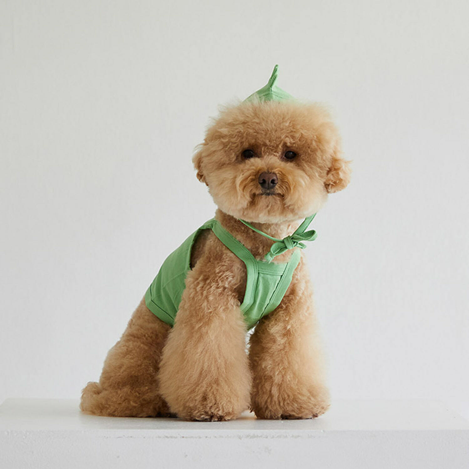 DAN Joguman 恐龍細肩帶＋帽子組合（綠）