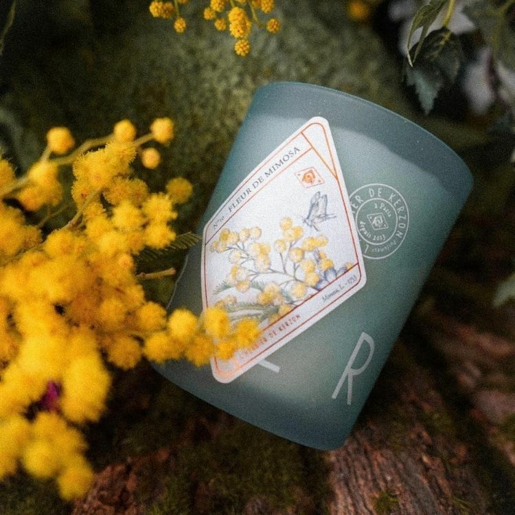 KERZON｜香氛蠟燭 - 絨金合歡/ 展品現貨（外盒已拆封，蠟身狀況良好）推薦自用 🍃