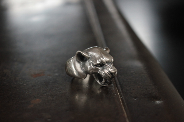 FateCo FCR-19 豹戒