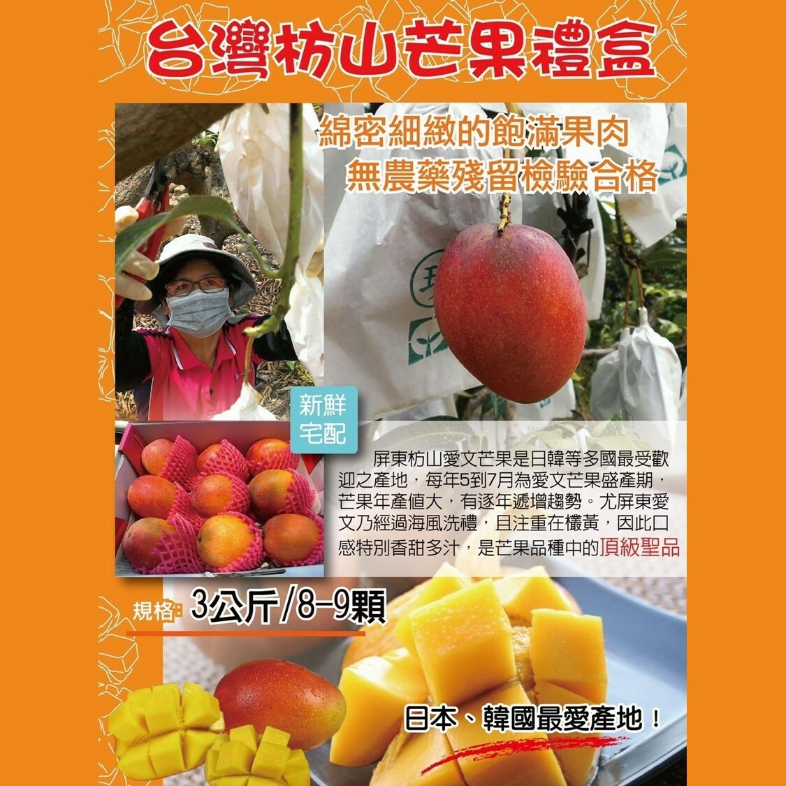 【每年4月下旬~6月限定】嚴選外銷等級｜愛文芒果禮盒🥭在欉黃屏東枋山愛文芒果🥭