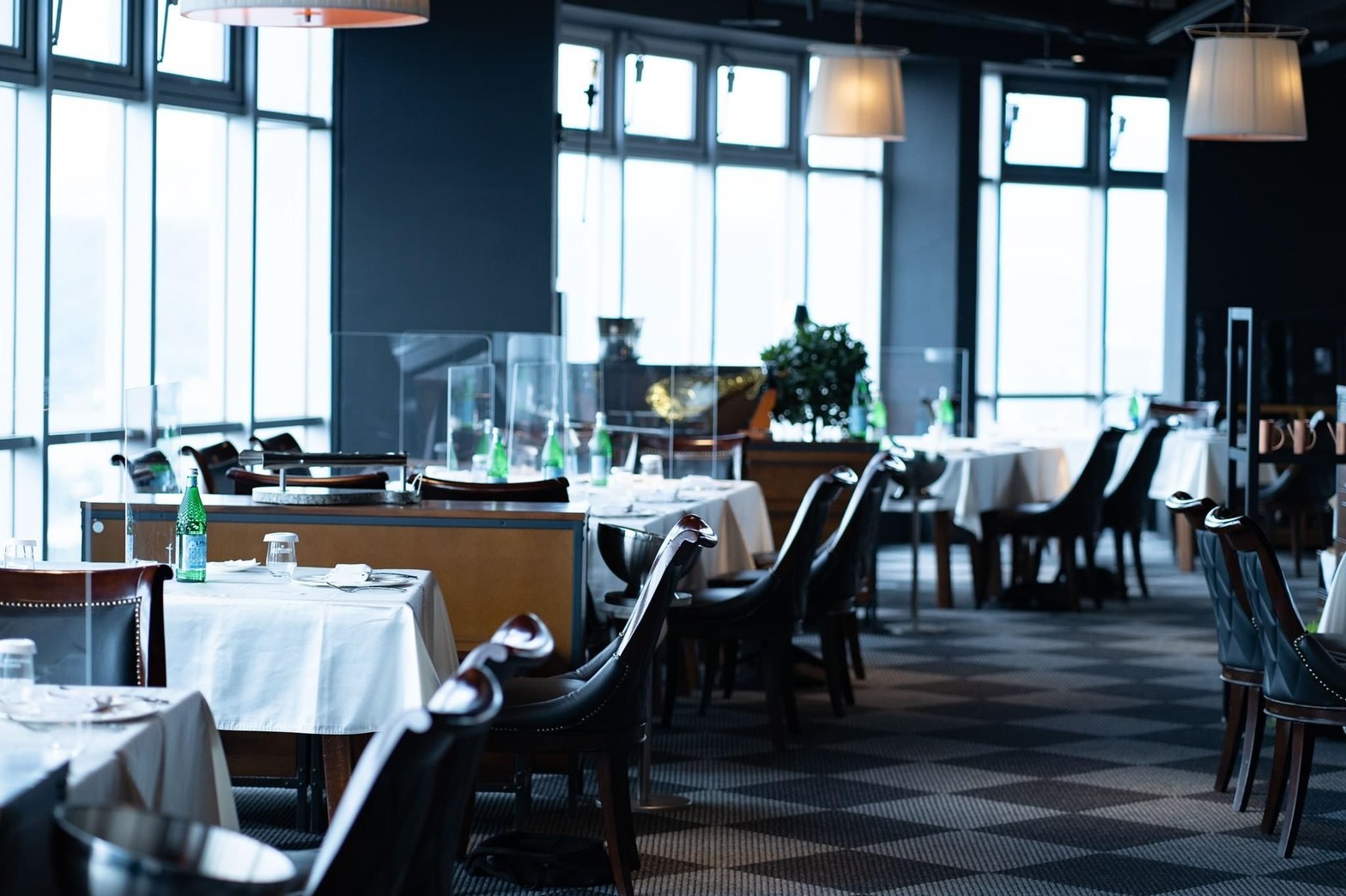 隨意鳥地方竹北店