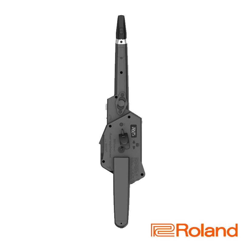 特價出清 Roland AE-10G 電子吹管 薩克斯風