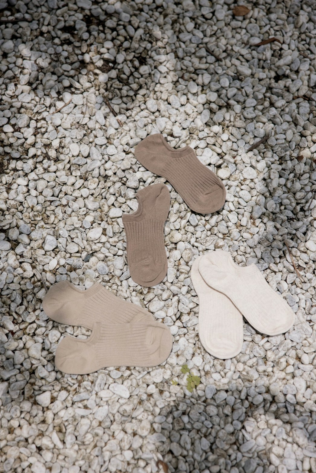 (現貨) DG80回購率100%不掉隱藏襪