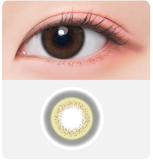 DooNoon Jinju 1 Day 每日拋棄彩妝隱形眼鏡｜每盒10片 (日拋) (Gray/Brown)