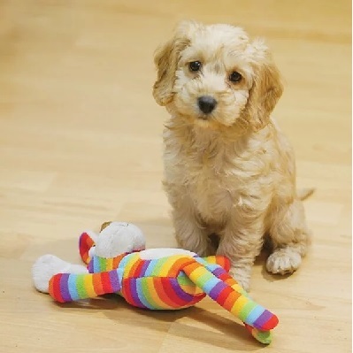 Rosewood Sonny Monkey