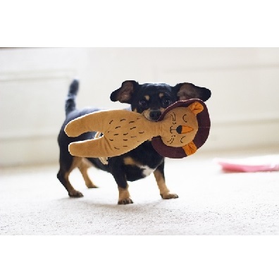 Rosewood Eco環保玩具系列 獅子