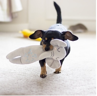 Rosewood Eco環保玩具系列 大象