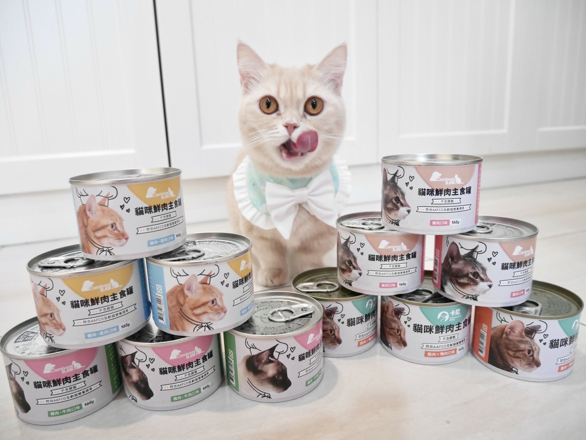 曼赤肯貓咪吃卡尼主食罐