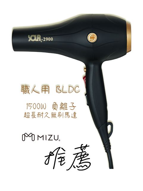 職人 BLDC 高效負離子造型吹風機 YOUR-2900B