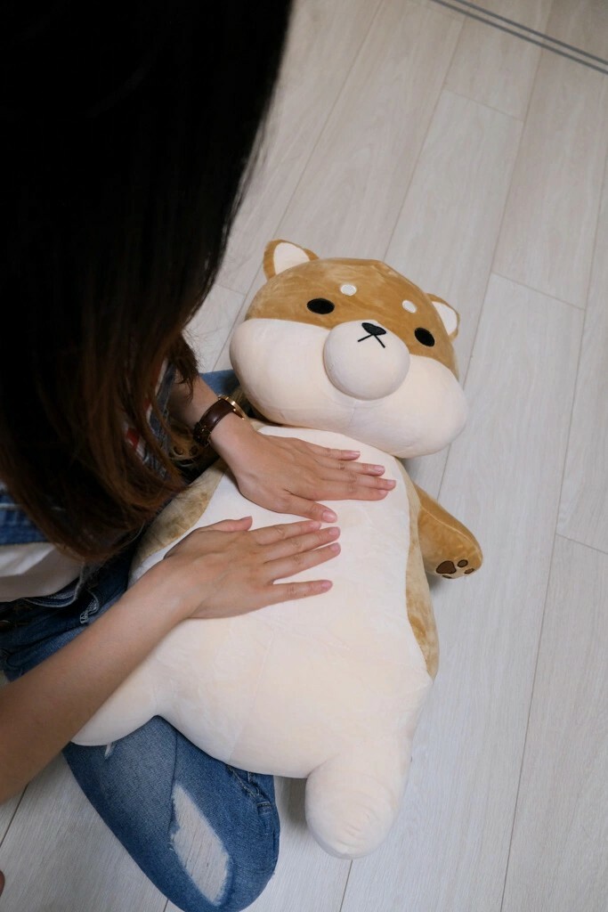 黛西優齁齁推薦傲嘟嘟の柴之助，超療癒，送禮超討喜