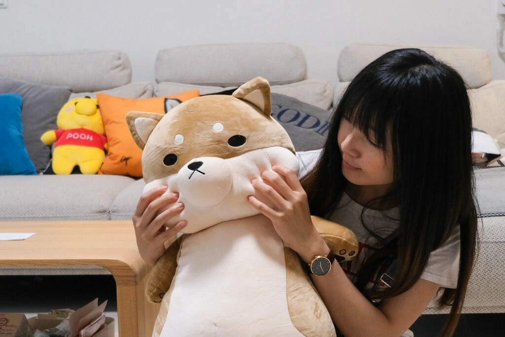 黛西優齁齁推薦傲嘟嘟の柴之助，超療癒，送禮超討喜