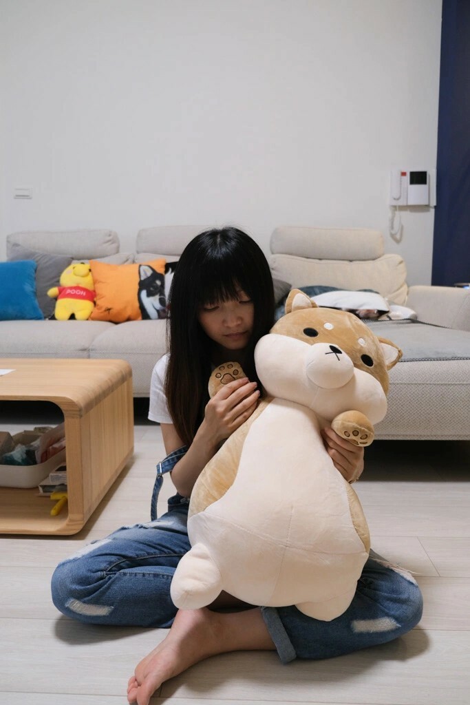 黛西優齁齁推薦傲嘟嘟の柴之助，超療癒，送禮超討喜