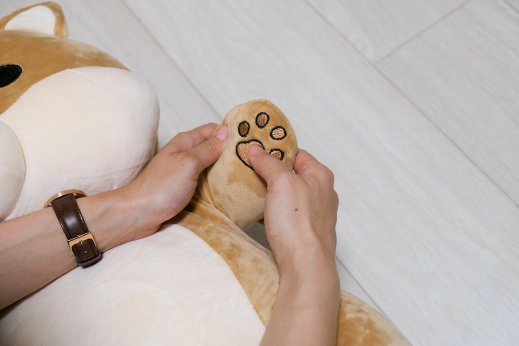 黛西優齁齁推薦傲嘟嘟の柴之助，超療癒，送禮超討喜