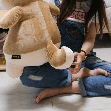 黛西優齁齁推薦傲嘟嘟の柴之助，超療癒，送禮超討喜