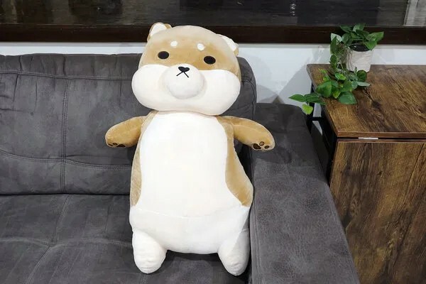 Emily愛玩美推薦傲嘟嘟の柴之助，捏又好抱的舒壓發洩娃娃