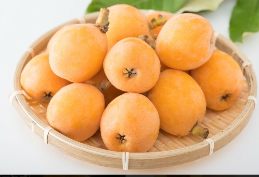 日本長崎縣枇杷果