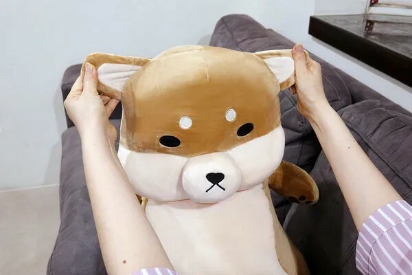 Emily愛玩美推薦傲嘟嘟の柴之助，捏又好抱的舒壓發洩娃娃