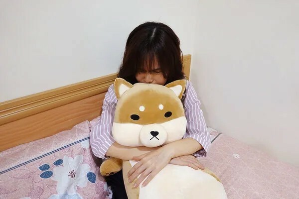 Emily愛玩美推薦傲嘟嘟の柴之助，捏又好抱的舒壓發洩娃娃
